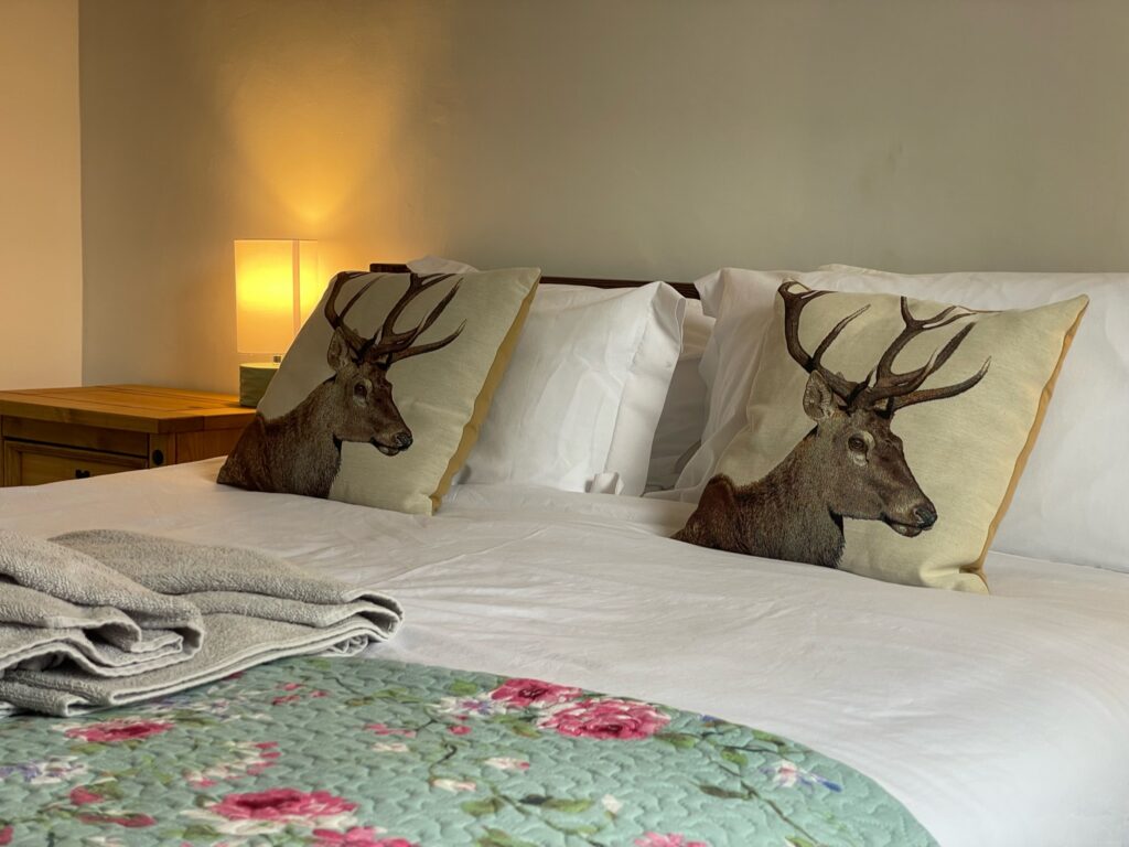 King Bed in Master Bedroom